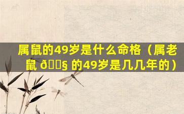 属鼠的49岁是什么命格（属老鼠 🐧 的49岁是几几年的）